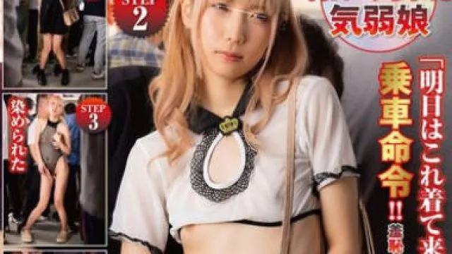NHDTC-030 着せ替え羞恥電車2 下品な服で何日もやられた気弱娘