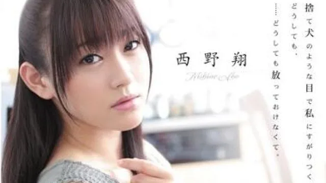 rbd-306 被邻居强奸 – 西野翔