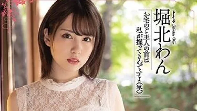 meyd-688 被丈夫的老板强奸-堀北わん