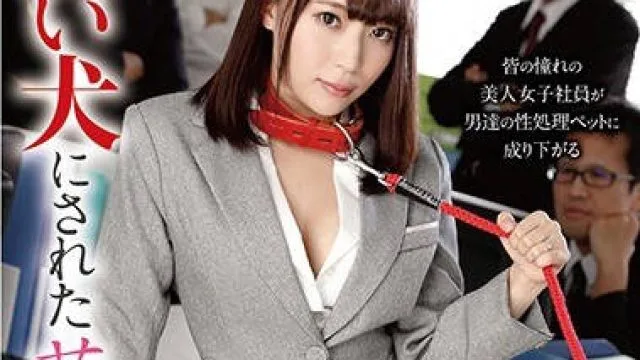 HBAD-465被同事们当作狗调教的人妻女社员在丈夫面前被凌辱做爱-望月りさ