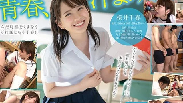 sdab-119 正值青春年华的18岁学生-桜井千春