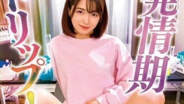 DDK-221 发情期之旅 – 仓本堇高清完整版