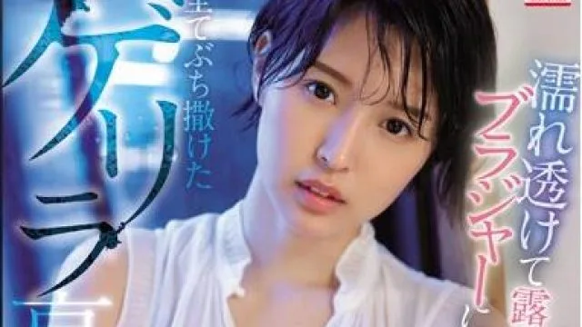 ssni-866 暴雨中的嫂子-葵つかさ