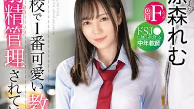ABW-232 中年教师 涼森れむ 高清无码