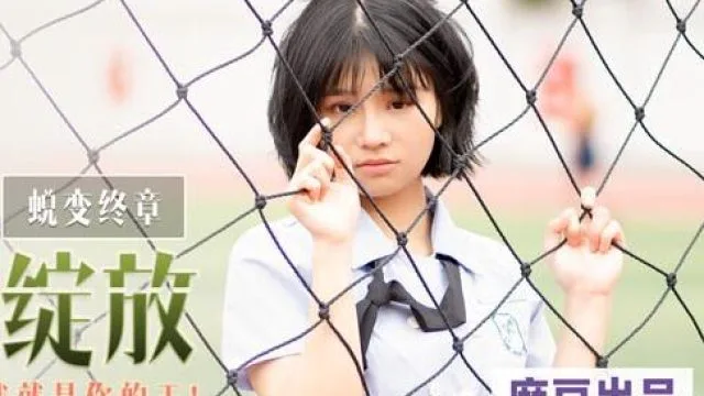 叮叮映画DD-005情如烟花绽放-林晚琬