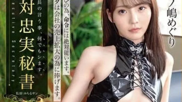 ABF-145 忠实执行社长命令的秘书美之嶋惠理