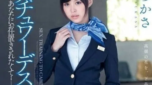 DV-1583 黑丝美女空姐 – 葵司高清完整版