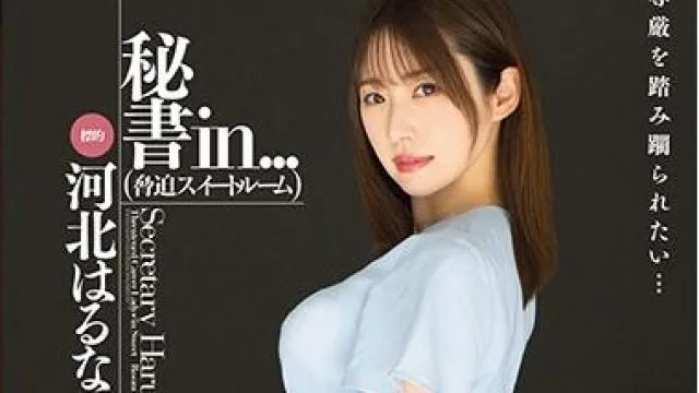 vdd-164 秘書-河北はるな