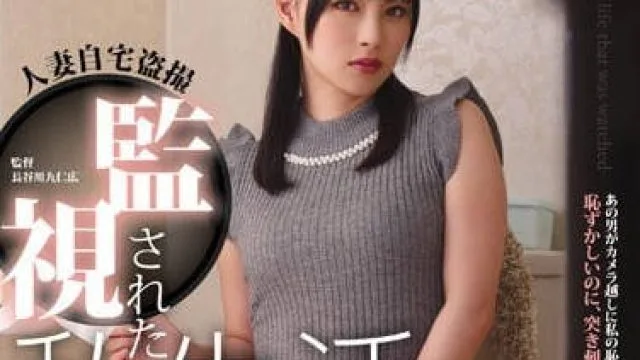 RBD-865维修工人偷偷安装摄像头趁欲求不满的人妻波木遥在家自慰时闯入强行内射